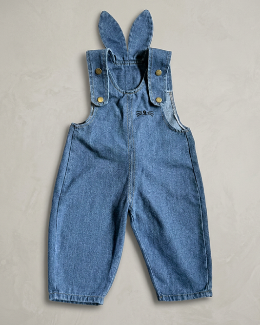 Hop Lil Bunny Dungaree