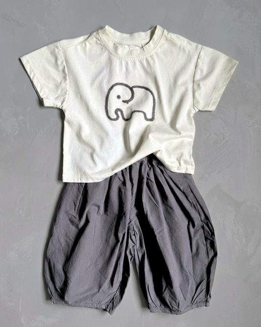 Grey Elephant Pants Set